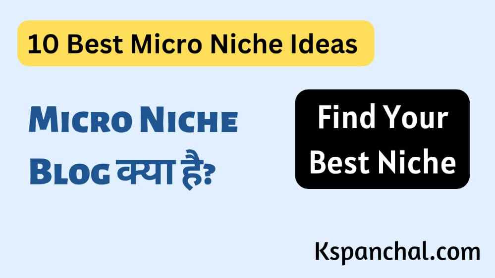 Micro Niche Blog क्या है? Best 10 Micro Niche Blog Ideas in Hindi 2023